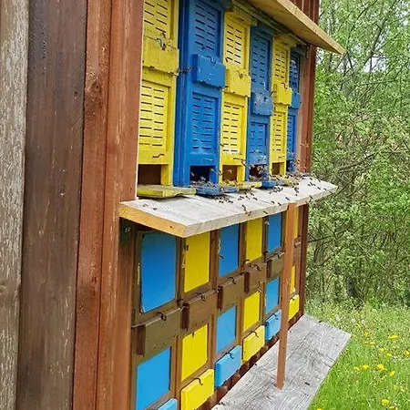 Ferienwohnung Sandsteinland Reinhardtsdorf-Schona Exterior photo